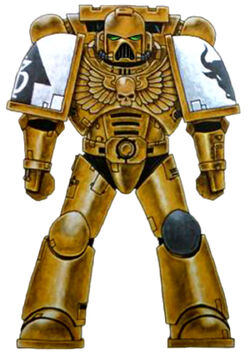 BM Colour Scheme