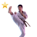 Item taekwondomaster gold 01