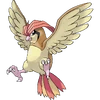 017Pidgeotto