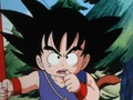 Goku after inspecting Bulma
