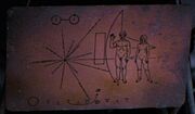 Pioneer Plakette