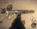 500px-DeadIslandGame-SPAS-12 V1 world.jpg