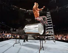 Hbk-shawn-michaels-21447416