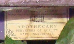 Anjelica