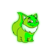 Glownig Wocky