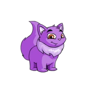 Purple Wocky