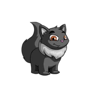 Shadow Wocky