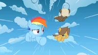 Filly Rainbow and the colts racing S1E23