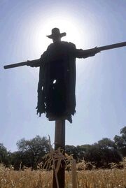 Scarecrow