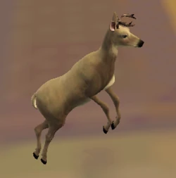 Deer snapshot