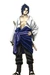 Sasuke(Fan)