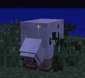 Sheep Grass