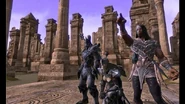 Daggerfall Covenant