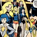 Heroines Super Friends 001.jpg