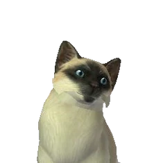 Kim