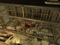 Fluffy Jitters cage.jpg