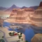 Lucky Palms thumbnail