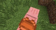 Saddled Pig Perspective
