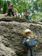 Dale hiding