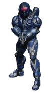 Operator