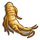 Ginseng-icon