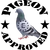 Pigeon Approved
