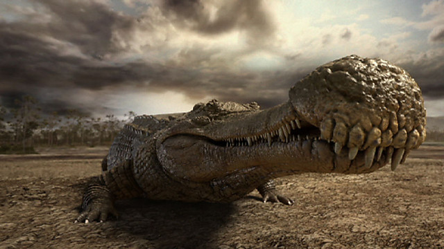 http://images2.wikia.nocookie.net/__cb20120817051356/dinosaurs/images/9/98/P00l180n.jpg