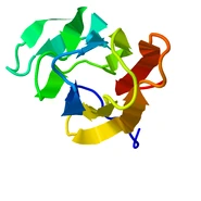 2LRG b