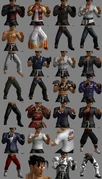 Tekken Tag Tournament 2 Jin Kazama Customization Items