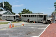 Woodbury Busses