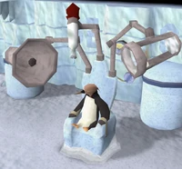 Captured penguin