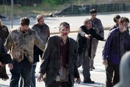 Dalton Zombie