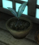 Nirnroot Anvil