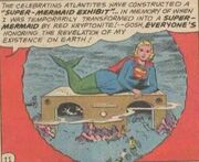 Super Mermaid Exhibit