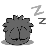 Black puffle sleeping