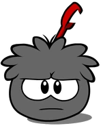 Black Puffle (18)