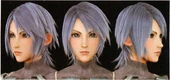 640px-BbS Ultimania Gallery 03