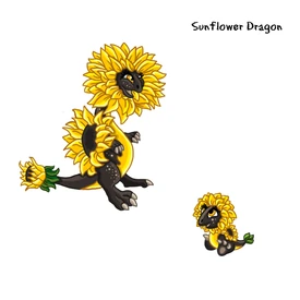 Sunflower Dragon