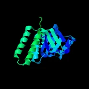 1LA1b.pdb1
