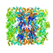 3CAUb.pdb