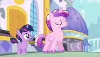 MLP genderswap Male Cadence and Male Twilight by daeternal