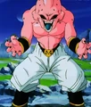 BetterBuuImage