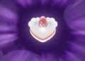 Ke-kiheart
