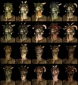 ArgonianCompilation.jpg