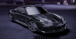 Carbon PorscheCaymanSSal