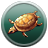 Pacing of the Turtle