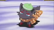 Luke Zorua accessories