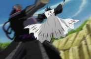 Ep249TenkenHitsKenpachi