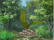 Mandragoraleaves