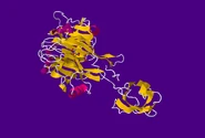 4FTDb.pdb